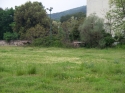 0_4308818_633704.jpg