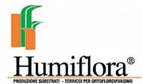 HUMIFLORA - DRAGHI  Rugby  Telese
