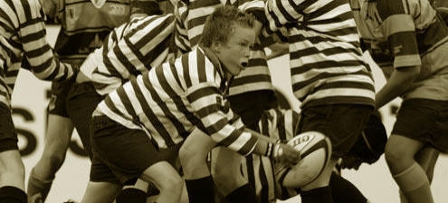 - DRAGHI Rugby Telese
