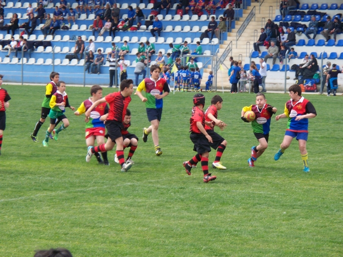 Struttura Societaria DRAGHI Rugby Telese anno 2024/2025 - DRAGHI Rugby Telese